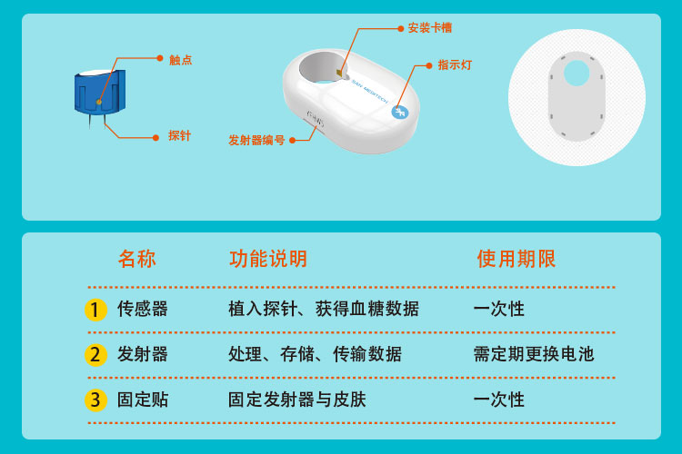 糖糖圈动态葡萄糖监测完全解析